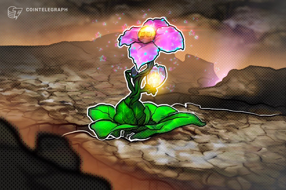 Crypto hotspots continue to thrive despite FTX collapse