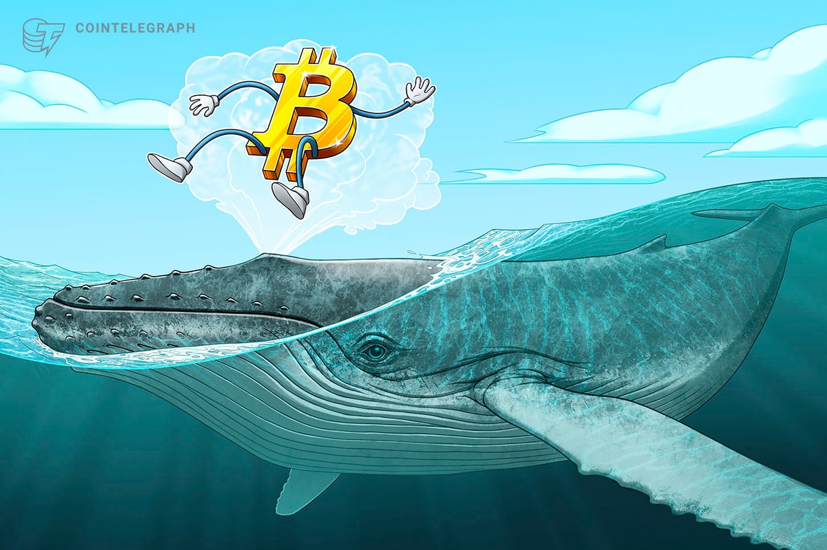 Bitcoin whales absorb 300% of newly mined BTC supply — Is $100K next?